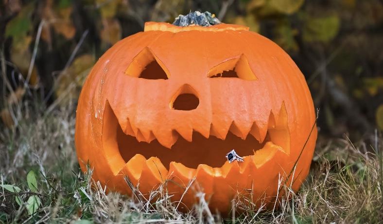 The Wedding Website of Beverly Johnson and Courtland Sadler