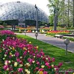 Missouri Botanical Gardens