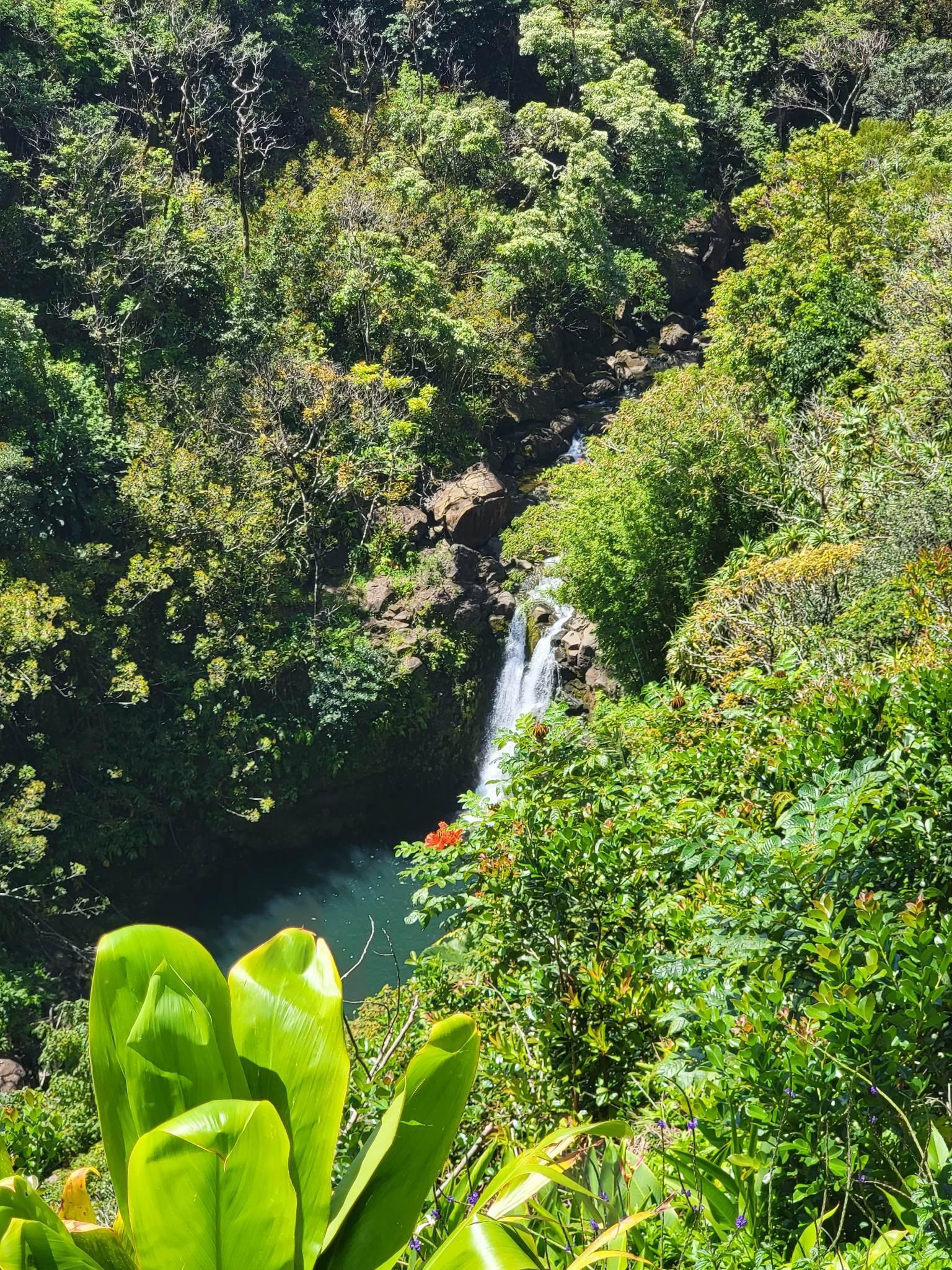 The Wedding Website of Anja De Luca and Jason Buice