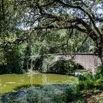 Audubon Park and Zoo
