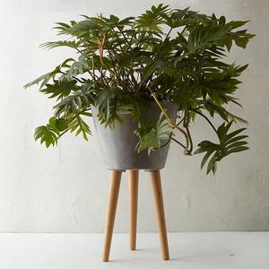 Wooden Leg Taper Pot