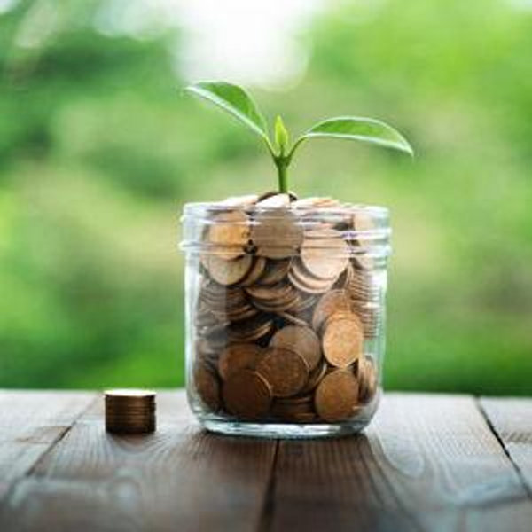 Our newlywed fund