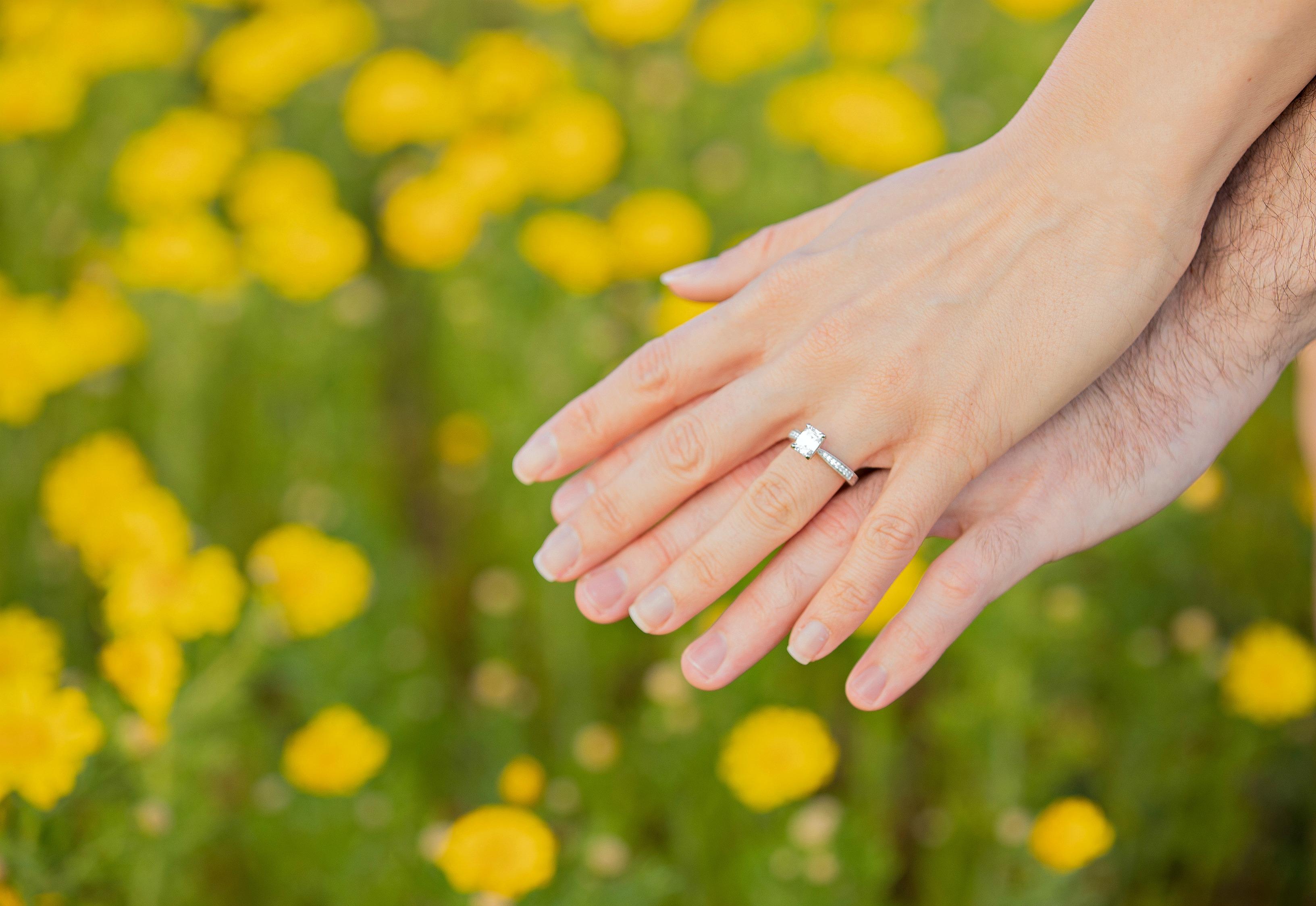 The Wedding Website of Brielle Sutter and Tyler Dwyer