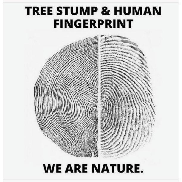 Yeah we are a couple of tree huggers. Nature itself and being in nature is a main theme in our relationship.