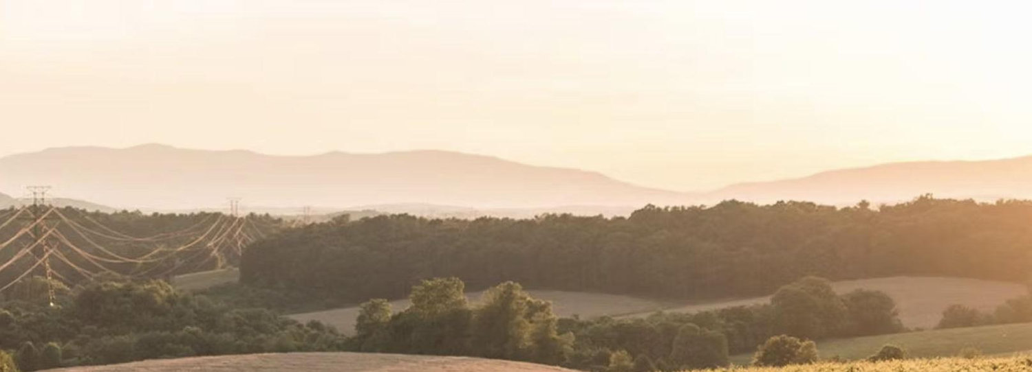 The Wedding Website of MaryLynn L. Hoffman and Philip J. Ross