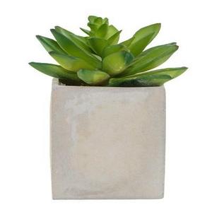 Artificial Succulent Arrangement in Cement Pot Green 5" - Lloyd & Hannah