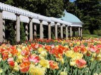 Maymont