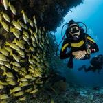 Try Scuba Diving Honolulu