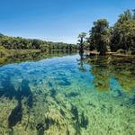 Edward Ball Wakulla Springs State Park