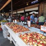 Boa Vista Orchards