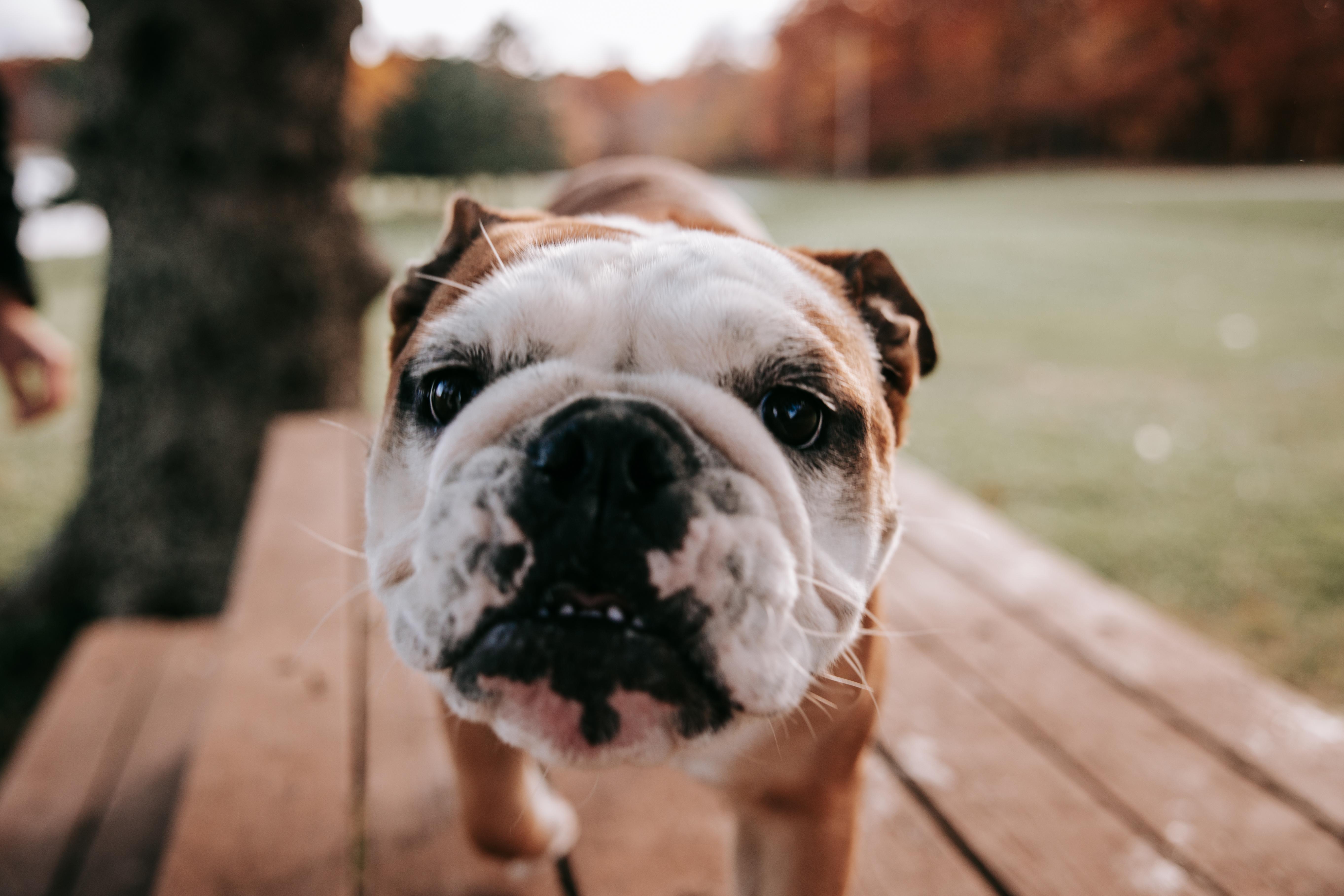 The Wedding Website of Chloe McKeown and Chris Sweet