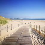 Cap Ferret