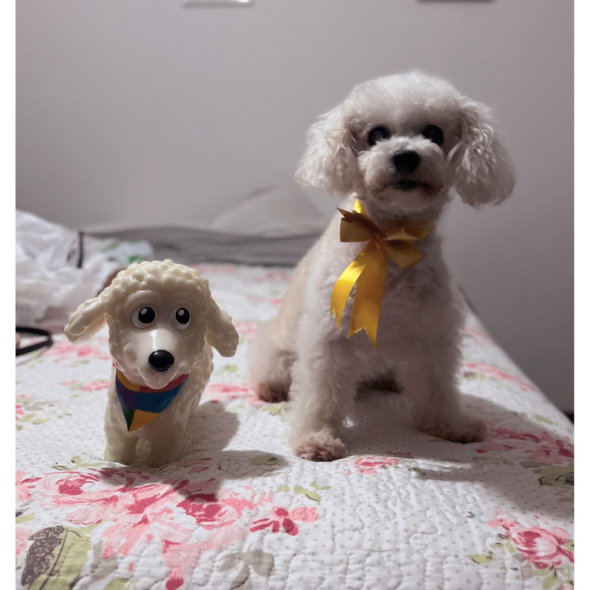 Luna x2