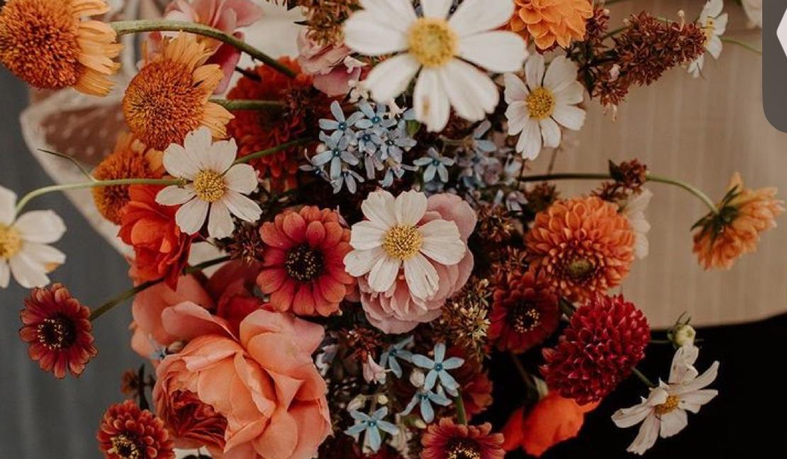 The Wedding Website of Courtney Brassfield and Benjamin Thomas