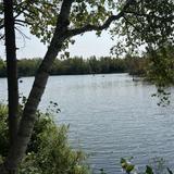 Harvey Moore Wildlife Sanctuary