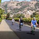 Getaway Adventures - Full-Day Calistoga Wine Country Bike and Wine Tasting Tour
