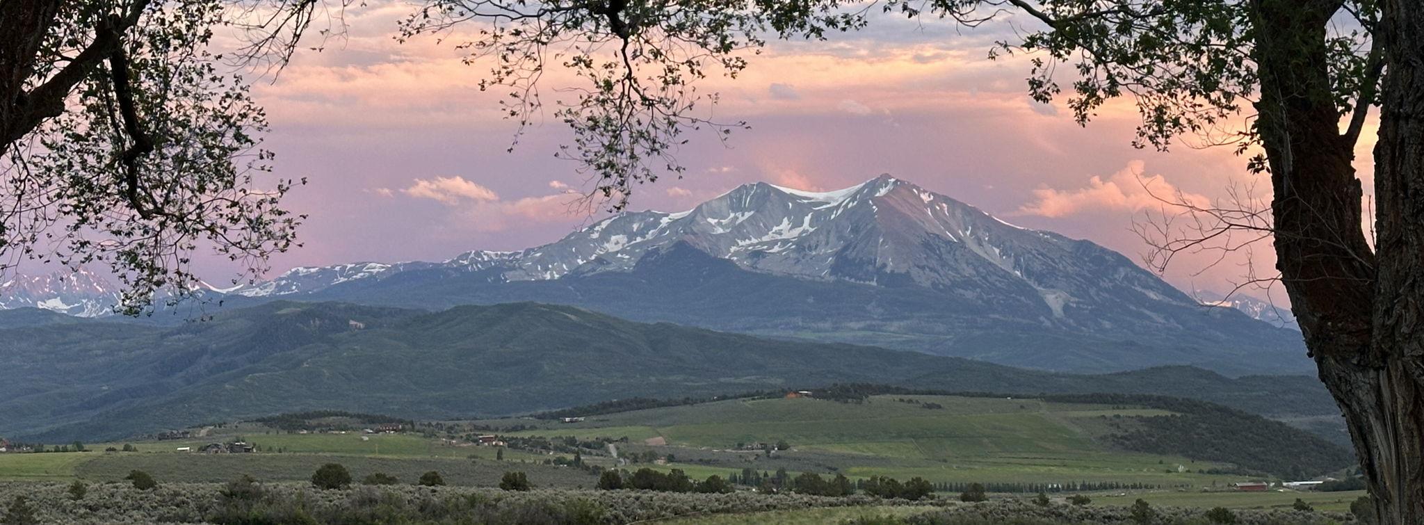 The Wedding Website of Margot Balliet and Muhammad Khan