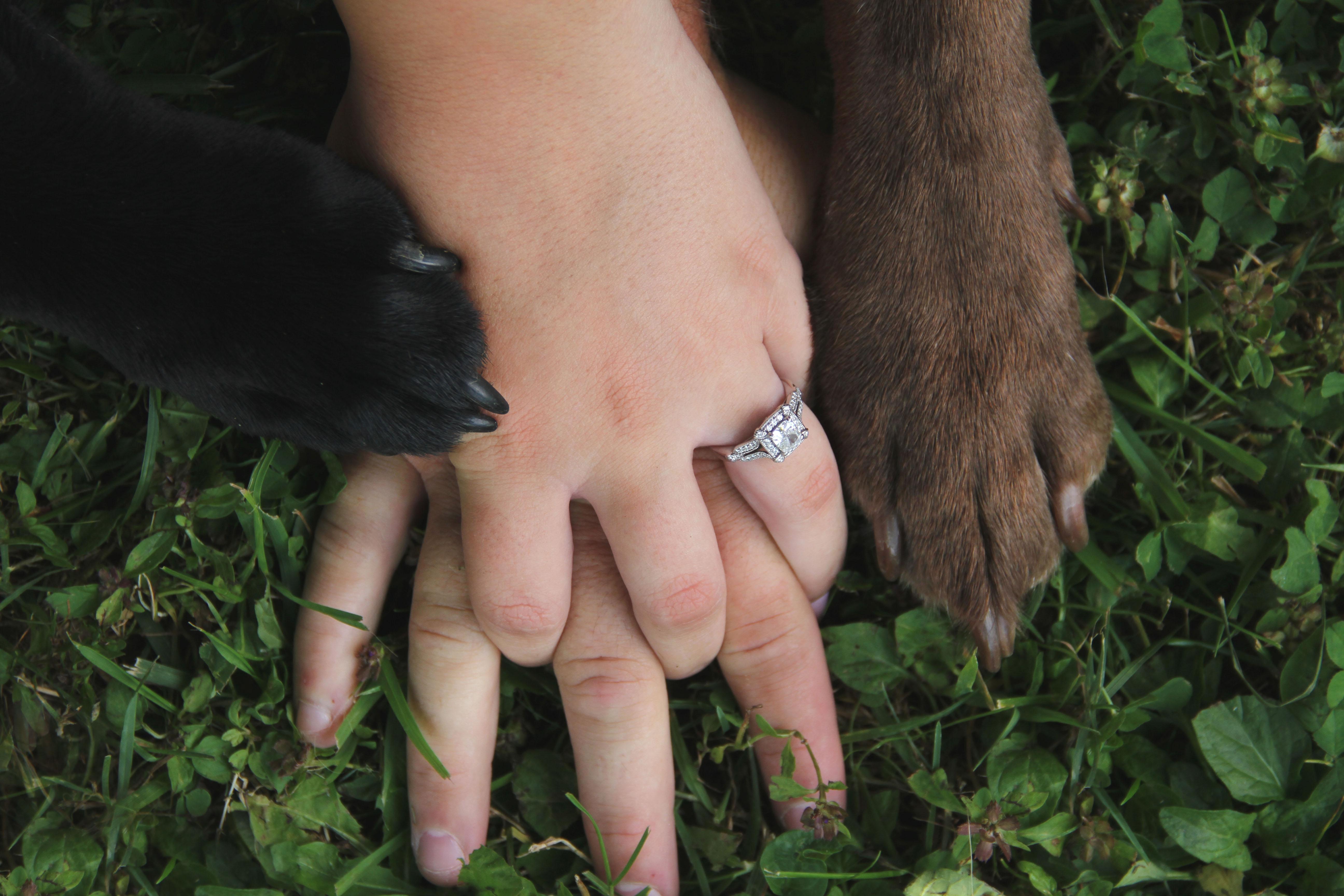 The Wedding Website of Megan Dimmick and Cody Romanoskie