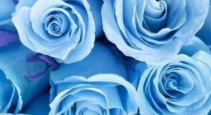The Wedding Website of Christine Duran and Salvador Villarreal