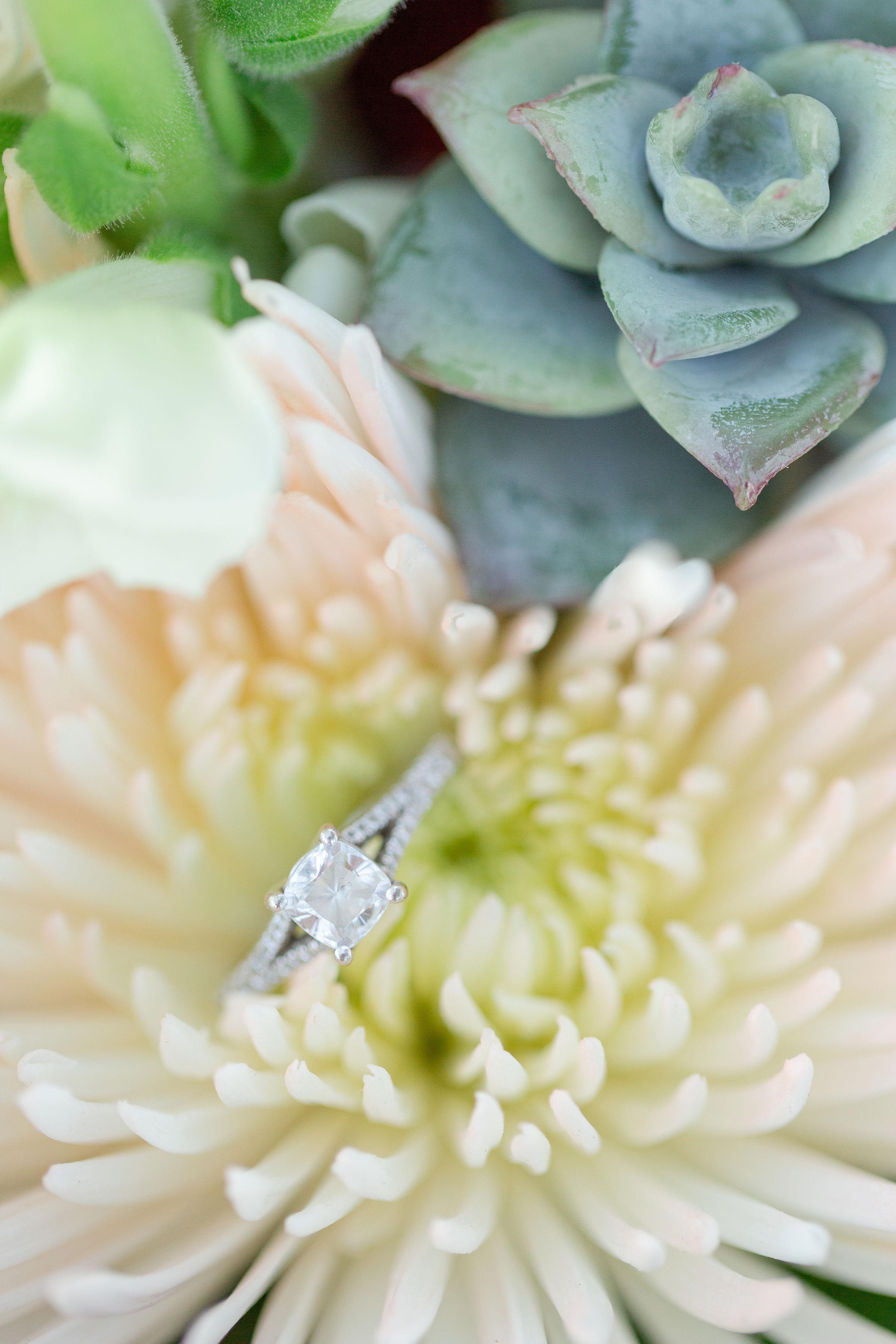 The Wedding Website of Reagan Nelson and Bradley Lovelady