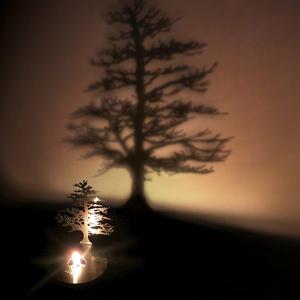 Lumen Oil Candle Shadow Projectors