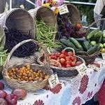 Farmer's Market on Tamina