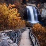 Looking Glass Falls