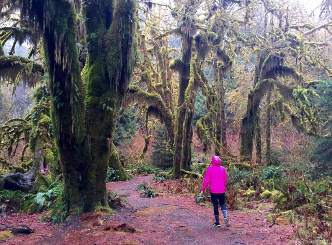 Walking along the Hoh Rainforests in Leavenworth, Washington.