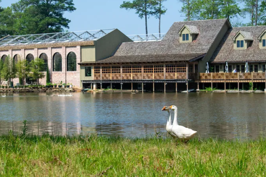 The Wedding Website of Lana Blankenship and Scott Hoffman