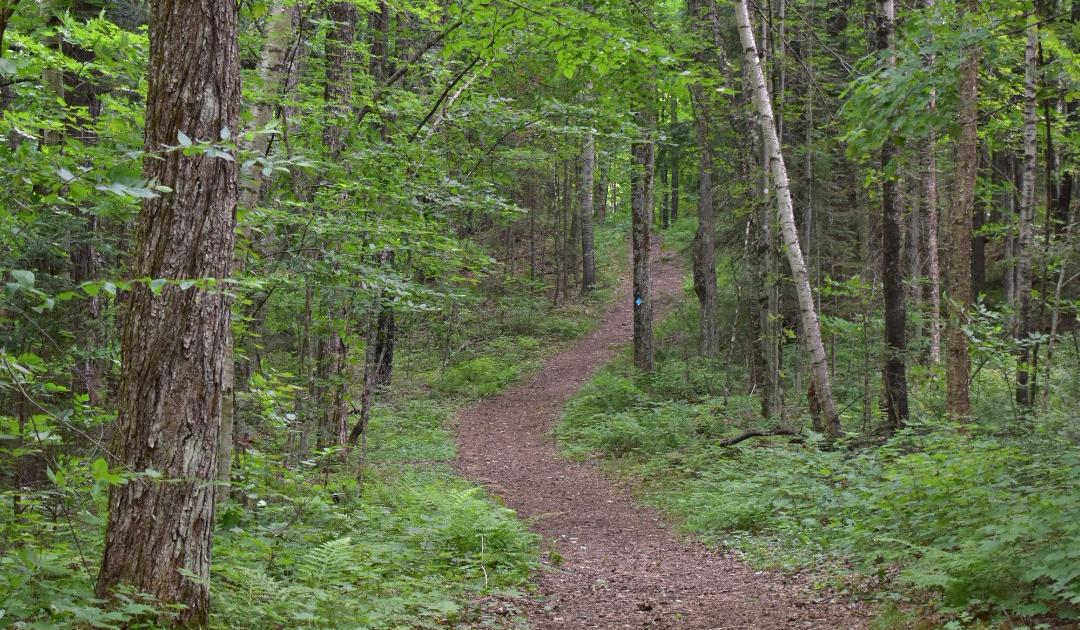 The Wedding Website of Shawna Lindsay and Ross Rosenow