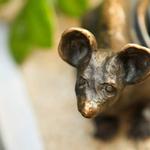 Mice on Main
