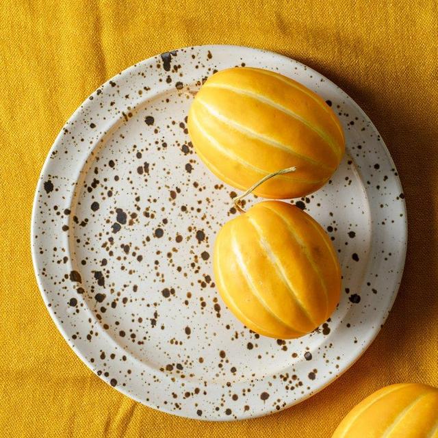10.75 inch Dinner Plate