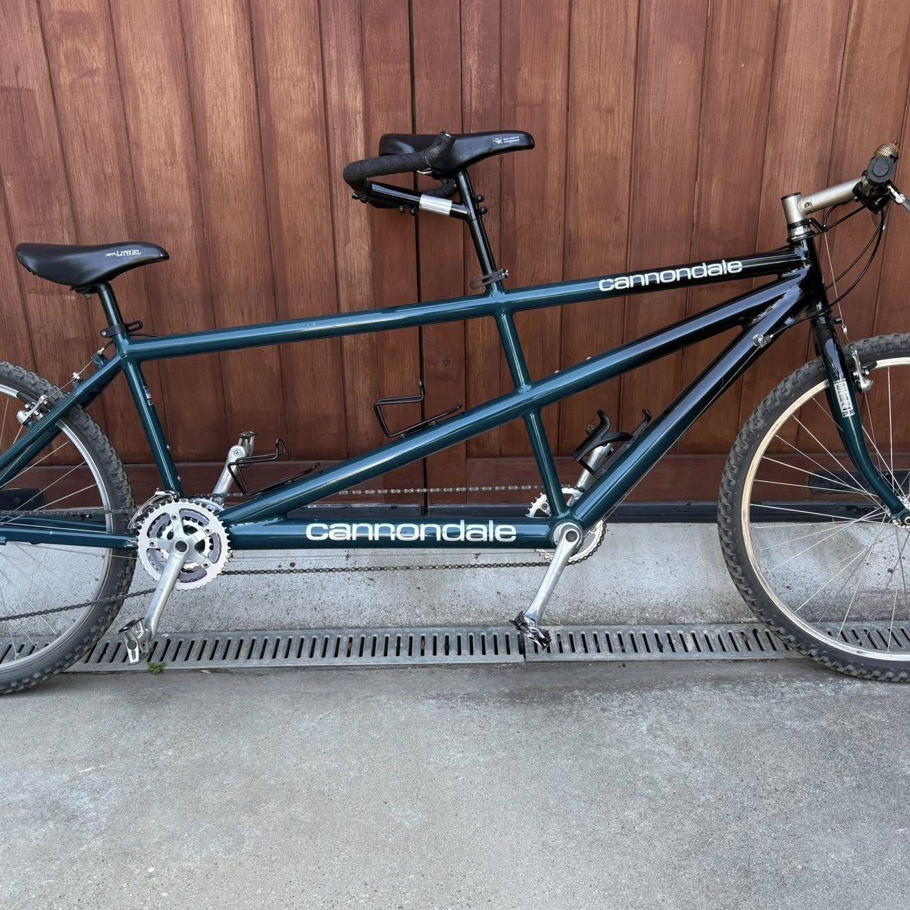 Thomas surprised me with a tandem bike so we could enjoy rides together and strengthen our communication—fun, wobbly, and full of laughter.