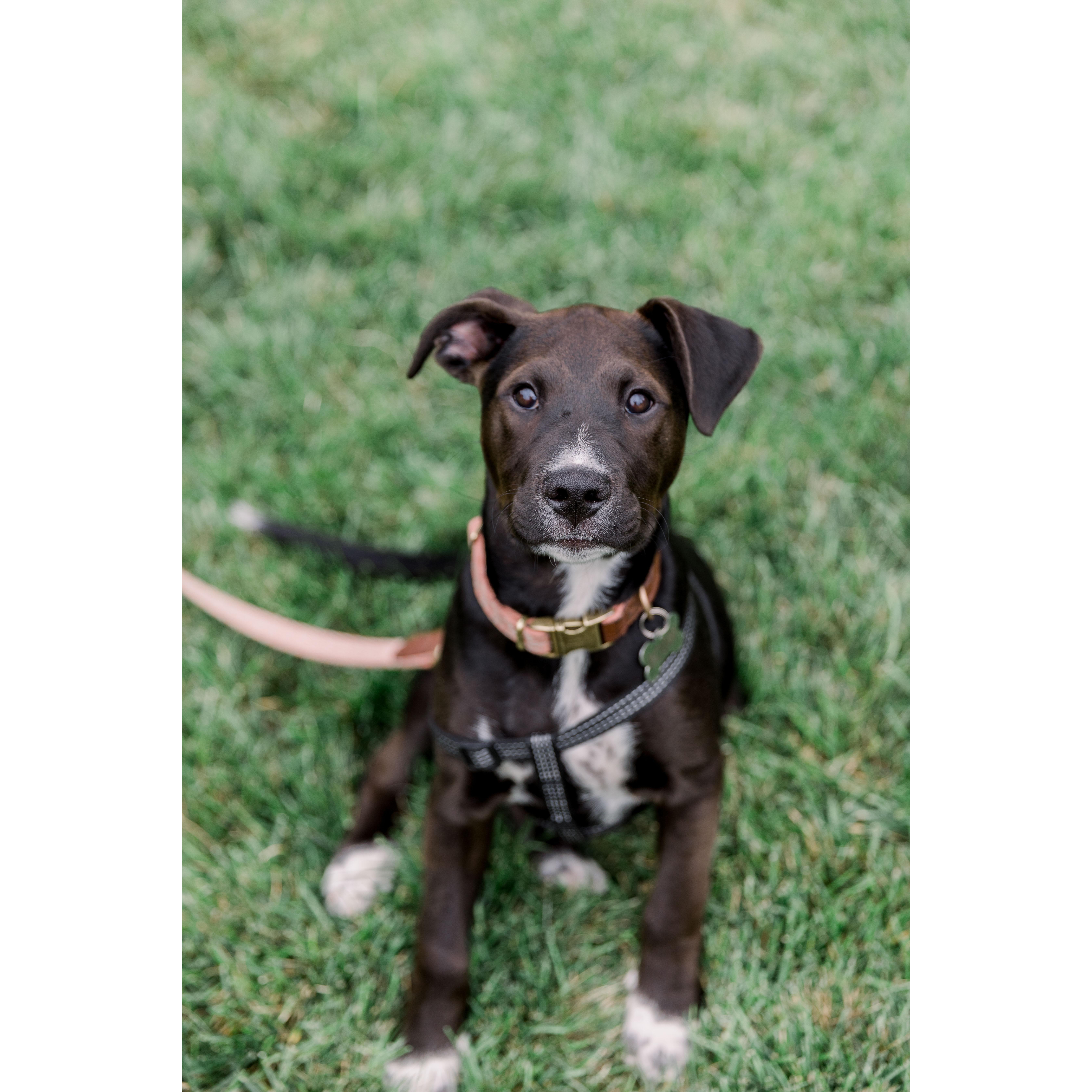 Little miss Bobbi stole the show. Her official name is Bobbi Orr - named after Tommy's hockey idol.