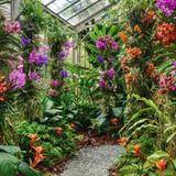 Marie Selby Botanical Gardens