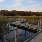 Horicon Marsh