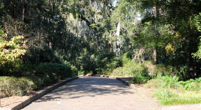 The Wedding Website of Leslie Davis and Evandall Williams