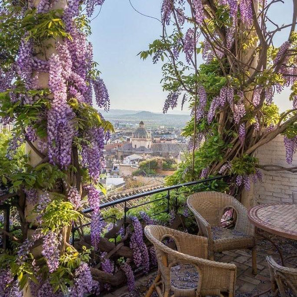 Dinner For Two in Granada