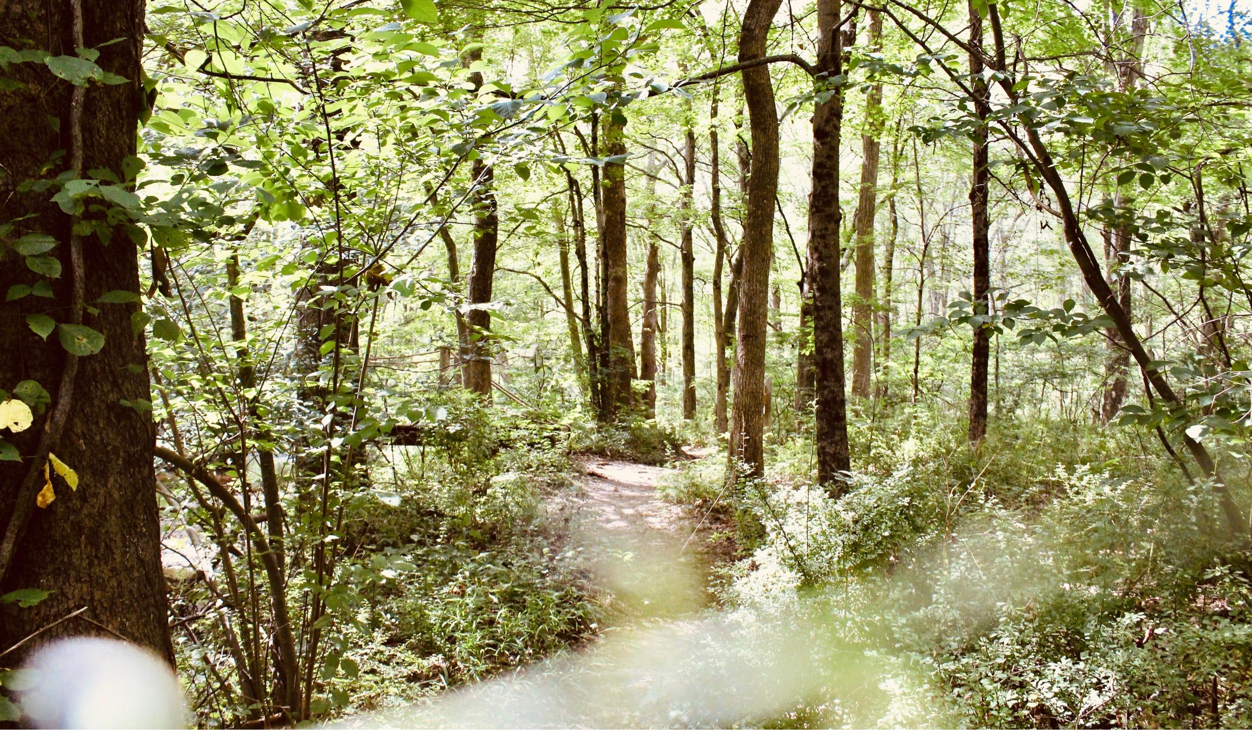 The Wedding Website of Erik Petersen and Lauren Little