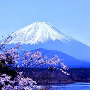 Day Trip a Fuji