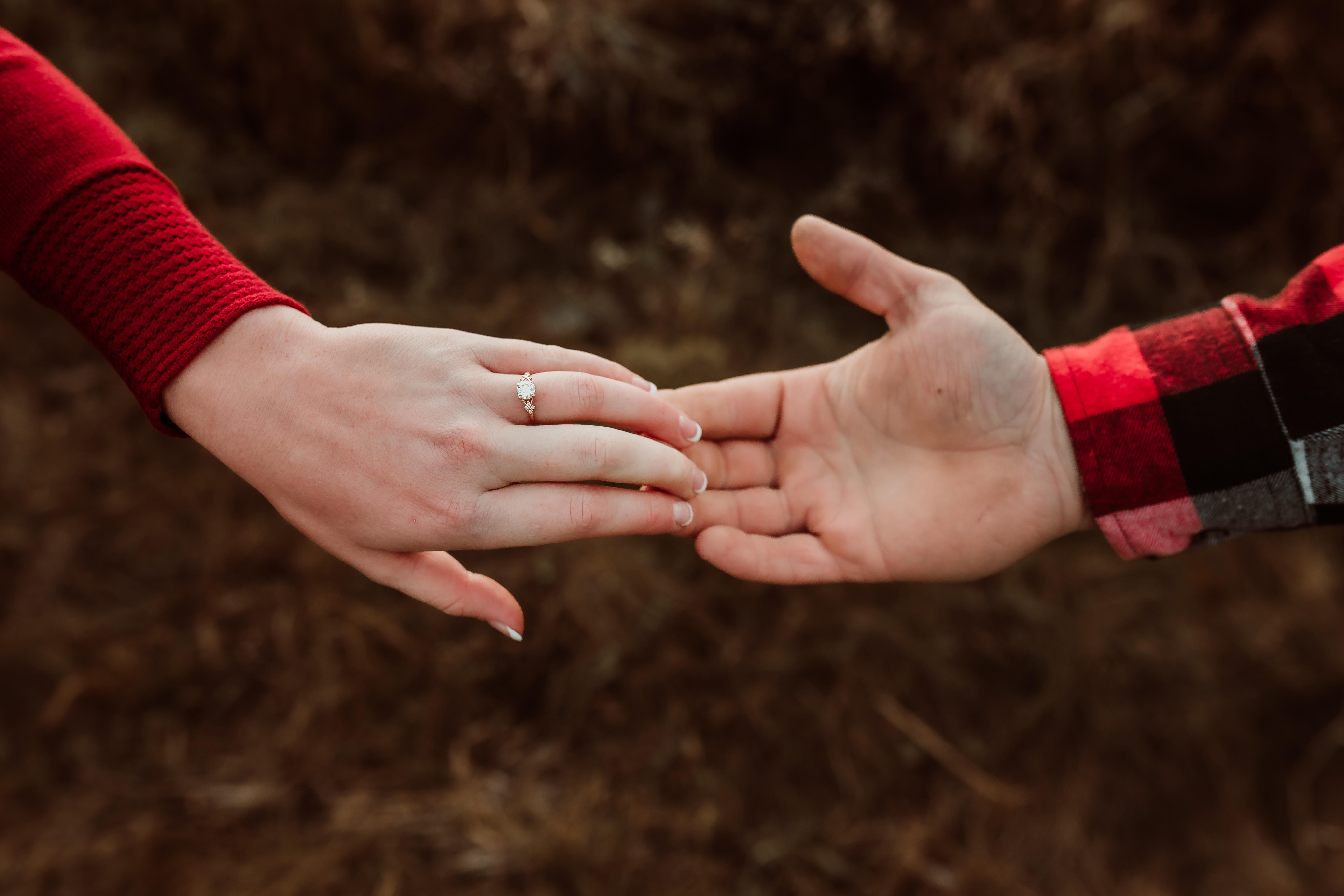The Wedding Website of Sarah Johns and Timothy Weber