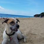 Crash Boat Beach