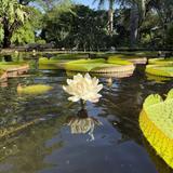 Miami Beach Botanical Garden