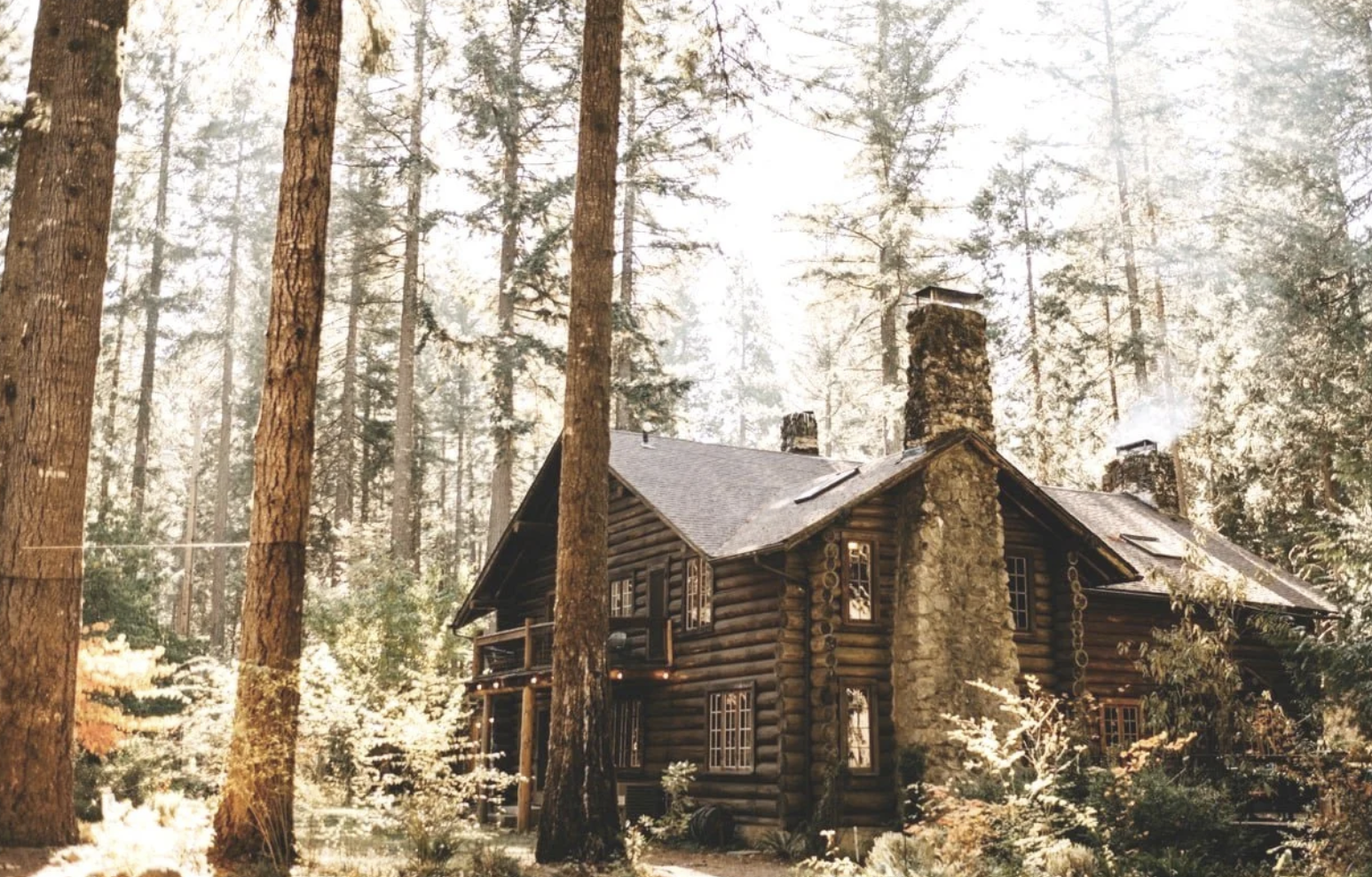 The Wedding Website of Sarah Silverstein and Jake Skrbina