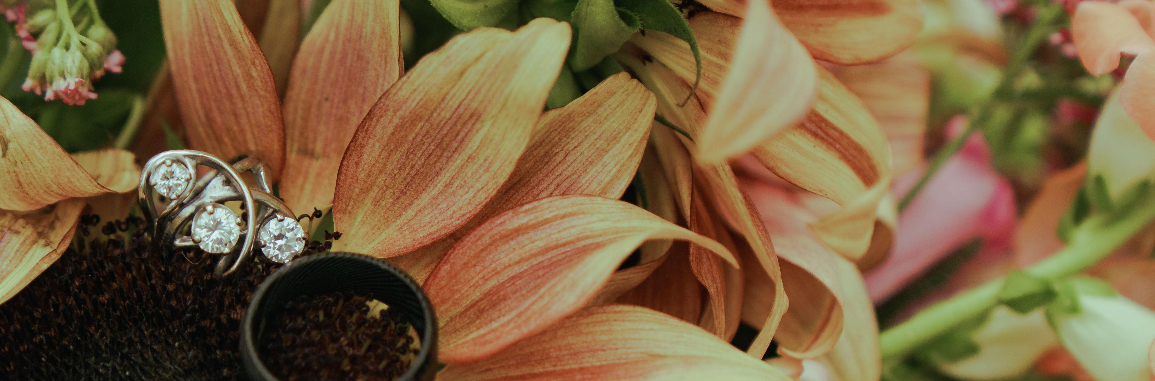 The Wedding Website of Mayra Ramirez and Spencer Mowatt