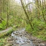 Lower Macleay Park