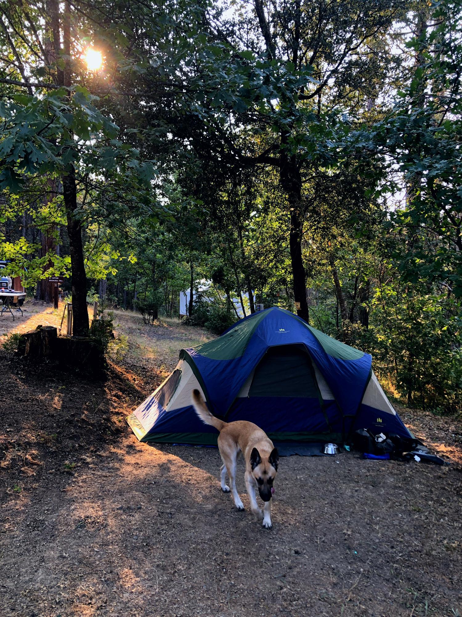 Our first road trip! (& 4th date 😂)
Yosemite, CA