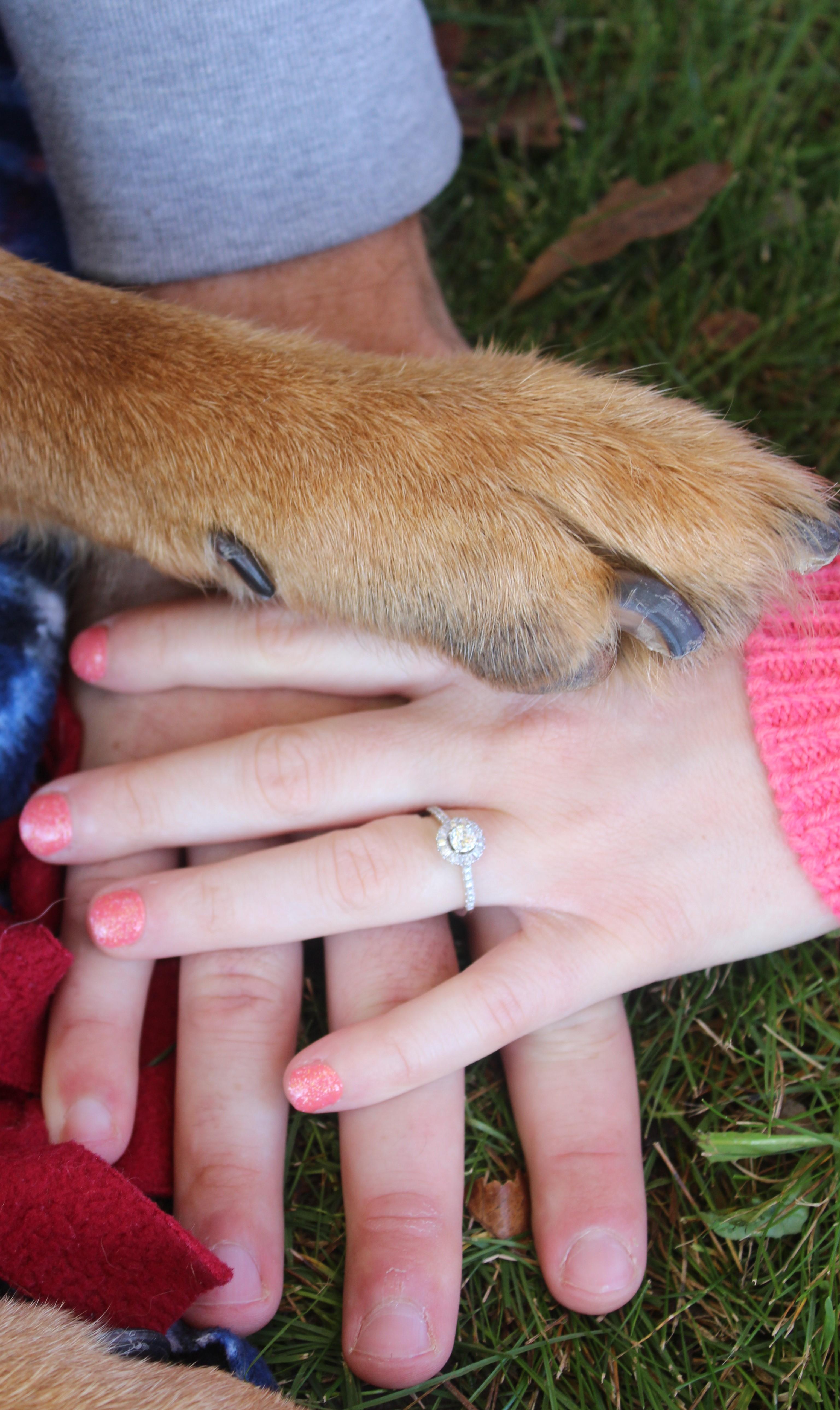 The Wedding Website of Lexi Brost and Nick White