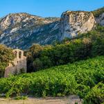 Wine Tasting in the Languedoc-Roussillon Region