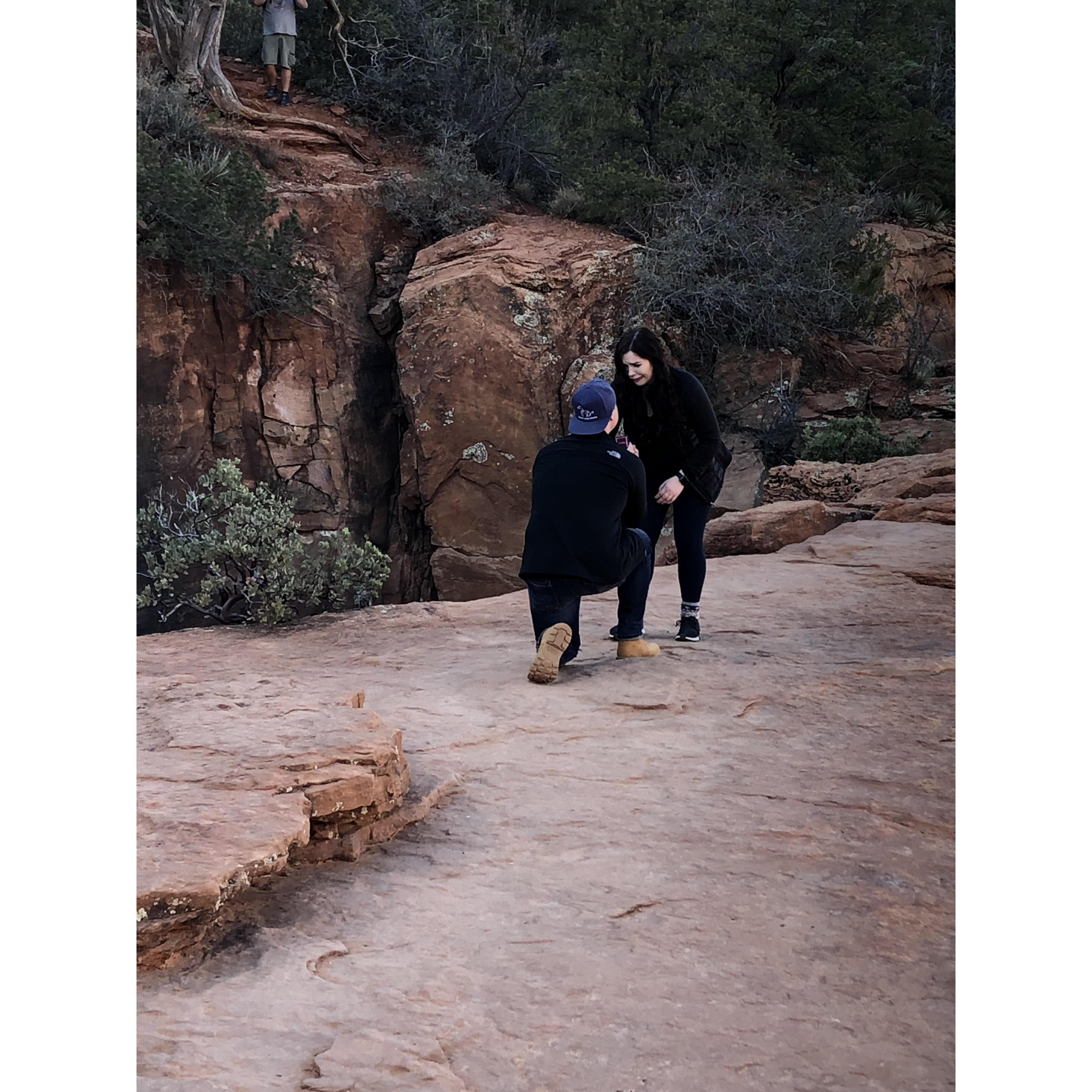The proposal